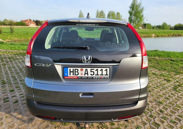 Honda CR-V cena 59909 przebieg: 168000, rok produkcji 2013 z Sieradz małe 529
